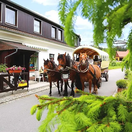 בית הארחה Gaststaette & Waldquell 3*